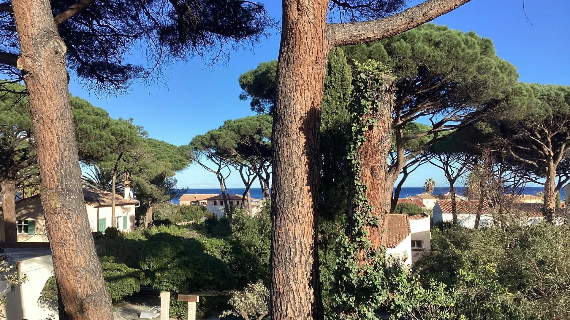 Nartelle 26 Apartment Sainte-Maxime